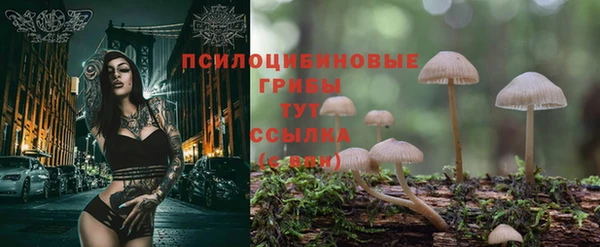 кокс Алексеевка
