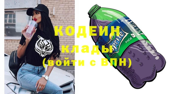 тгк Арсеньев